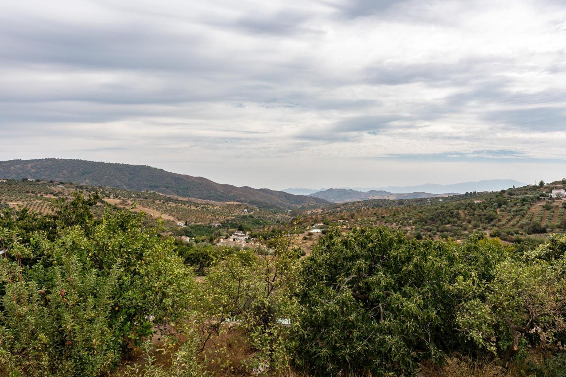 Malagasuite Cortijo Robles Casarabonela Eksteriør bilde