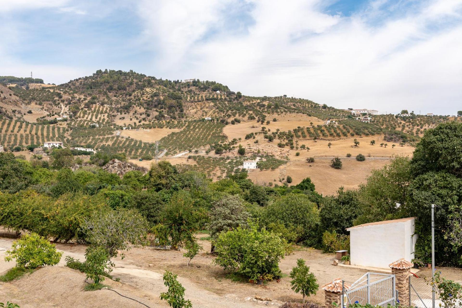 Malagasuite Cortijo Robles Casarabonela Eksteriør bilde